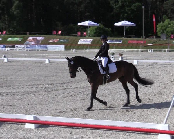 Reitturnier Holschdubrau 2025