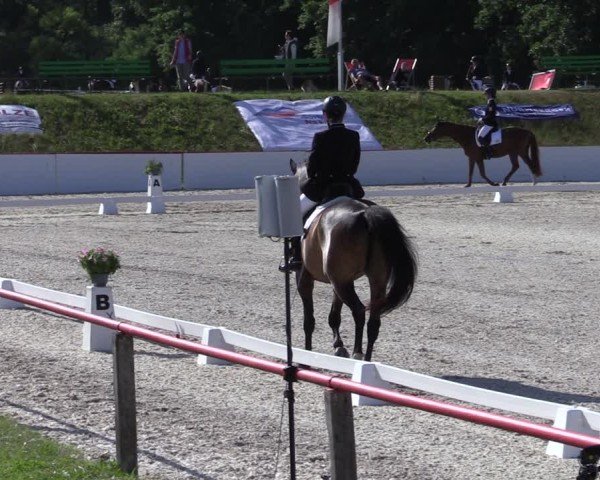 Reitturnier Holschdubrau 2025