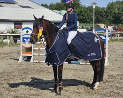 broodmare Lady Cornet (Holsteiner, 2018, from Cornet Obolensky)