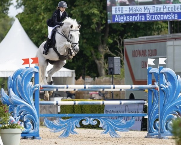 jumper Make My Day Picobello Z (Zangersheide riding horse, 2010, from Mr Blue)