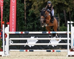 broodmare Claudia (Polish Warmblood, 2012, from Action-Breaker)