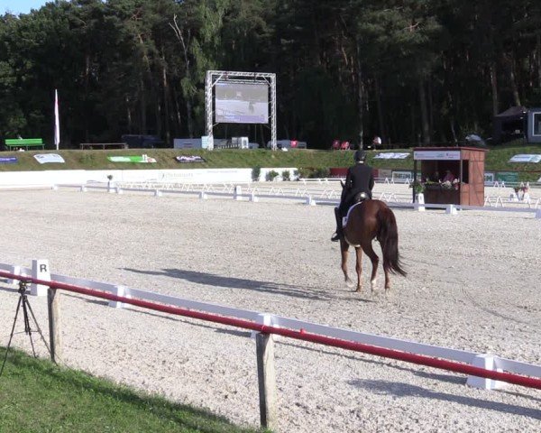 Reitturnier Holschdubrau 2025