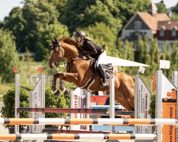 jumper Patronus v.B. (Zweibrücken, 2011, from Potomac 4)
