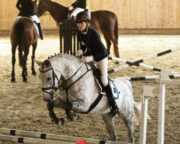 horse Naemy (Hanoverian, 2012, from Now Or Never M)