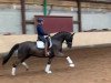 dressage horse Dancing Queen B 4 (Hanoverian, 2015, from Dancier)