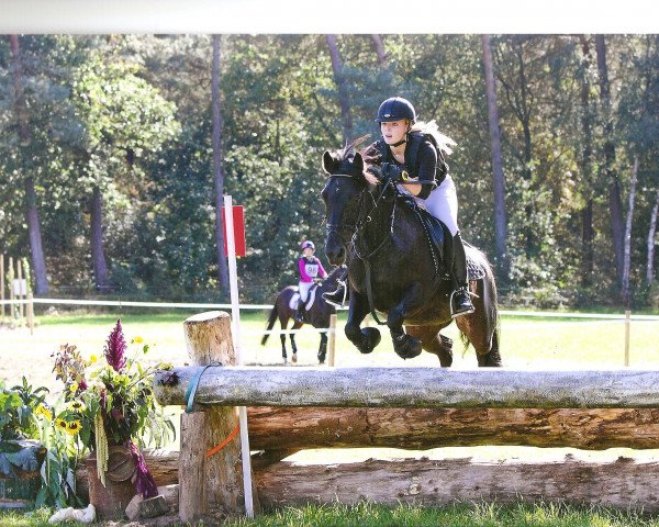 broodmare Nenée (German Riding Pony, 2001, from Nagano)