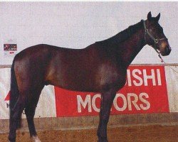 jumper Sixteen (Hanoverian, 1999, from Silvio I)
