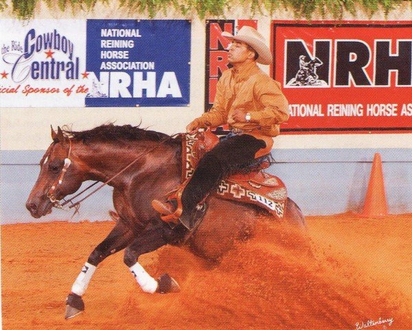 horse Easy Otie Whiz (Quarter Horse, 1999, from Topsail Whiz)