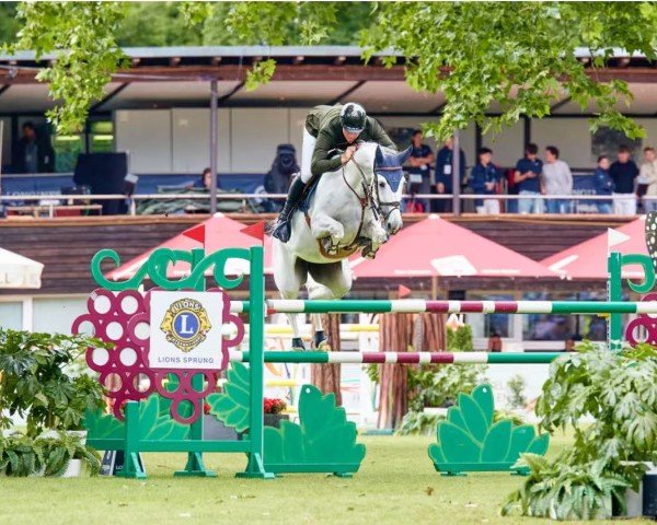 jumper Chaqueen (Hanoverian, 2017, from Chacoon Blue)