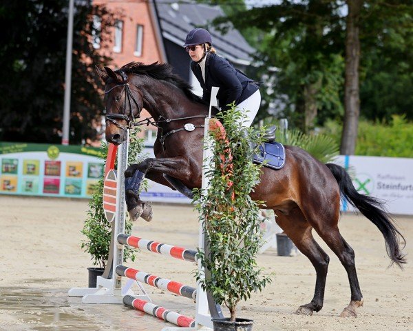 jumper Rubinero (Oldenburg, 2011, from Recaro Brillant)