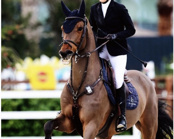 jumper Lakoniek (KWPN (Royal Dutch Sporthorse), 2016, from Eldorado van de Zeshoek)