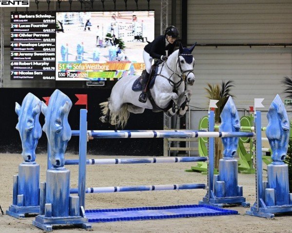 jumper Rapunzel (Cruzado-Espanol, 2016, from Indret del Masset)