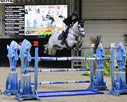 jumper Rapunzel (Cruzado-Espanol, 2016, from Indret del Masset)