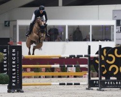jumper Karmijn Es (KWPN (Royal Dutch Sporthorse), 2015, from Vigo d'Arsouilles)