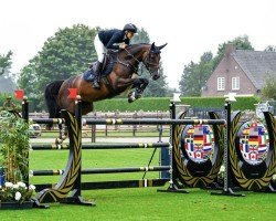 jumper Pica de Muze (Belgian Warmblood, 2015, from Cornet Obolensky)