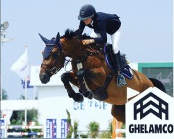 jumper Mimi de Laubry (Belgian Warmblood, 2012, from Elvis Ter Putte)
