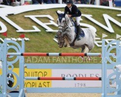 jumper Cadans Z (Zangersheide riding horse, 2009, from Carosso VDL)