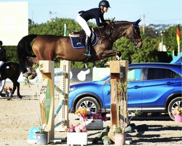 jumper Sunny van de Hunters (Zangersheide riding horse, 2011, from Hunter's Scendix)