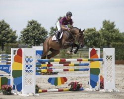 jumper Zapco of The Two Notes Z (Zangersheide riding horse, 2009, from Zapatero VDL)
