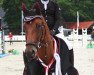 jumper Nanuk 77 (German Riding Pony, 2011, from Nobel Nagano NRW)