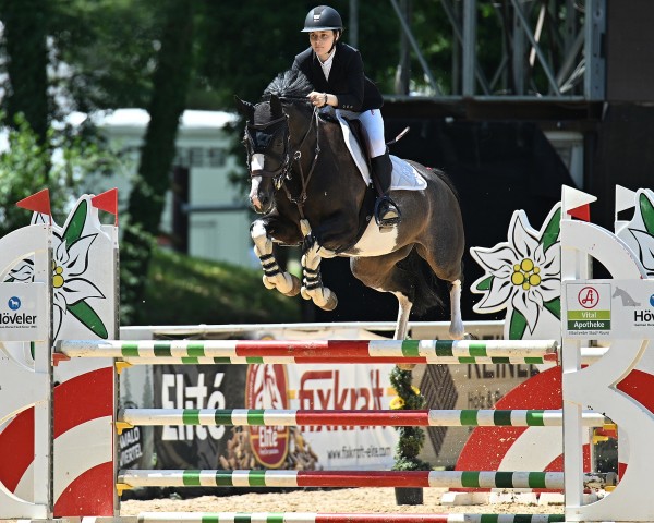 jumper High On Ecstasy (Holsteiner, 2020, from Origi D'o)