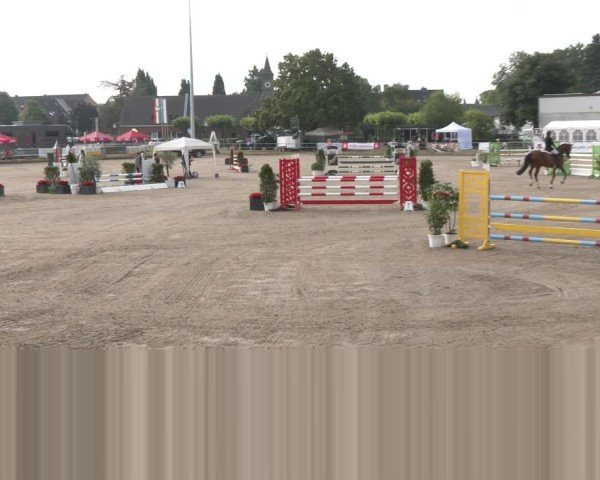 Reitturnier Langenfeld 2025