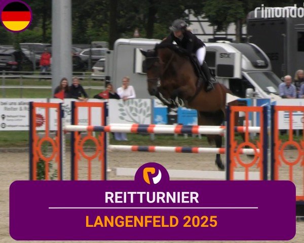 Reitturnier Langenfeld 2025