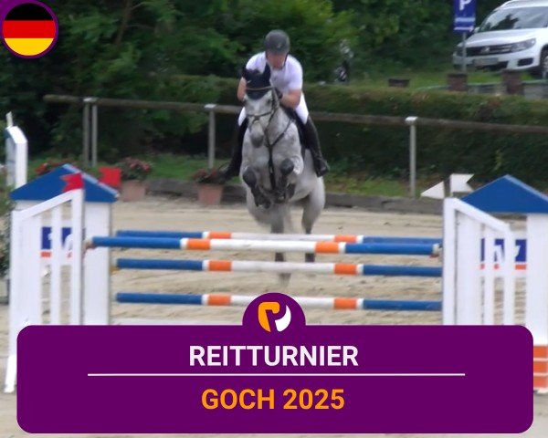 Reitturnier Goch 2025