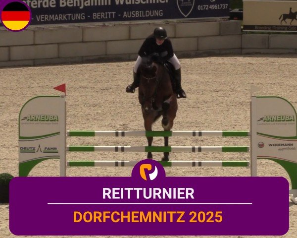 Reitturnier Dorfchemnitz 2025