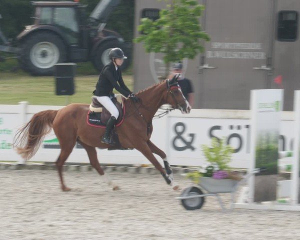 Reitturnier Babenhausen/Schw. 2025