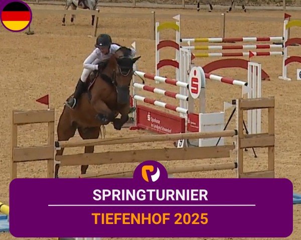 Reitturnier Tiefenhof/Opf. 2025