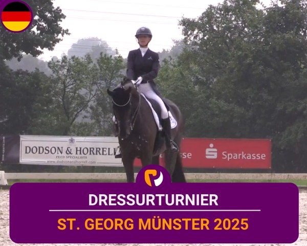 Reitturnier Münster, St. Georg 2025