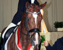 broodmare Balia (Westphalian, 2012, from Belissimo NRW)