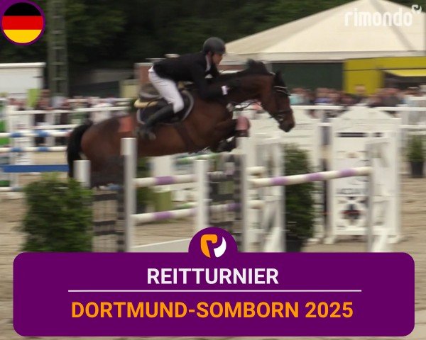 Reitturnier Dortmund-Somborn 2025