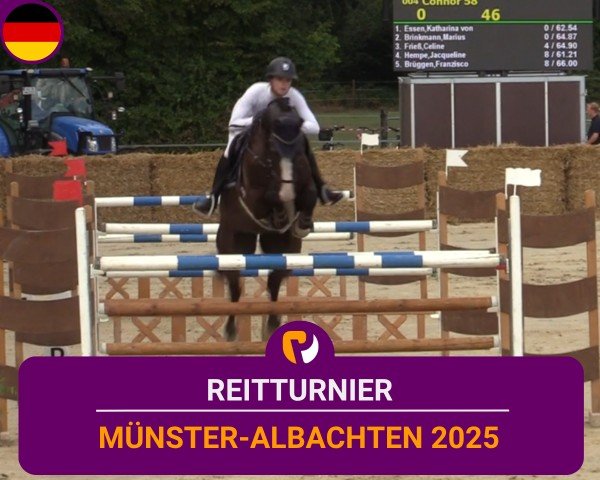 Reitturnier Münster-Albachten 2025