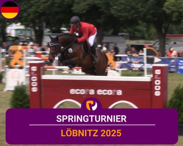 Reitturnier Löbnitz 2025