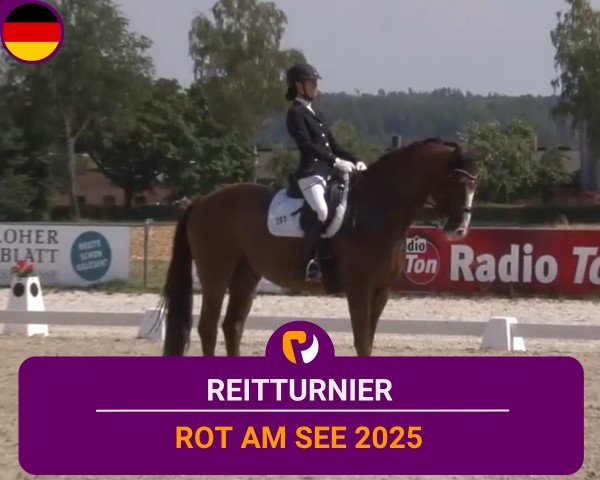Reitturnier Rot am See- Musdorf 2025
