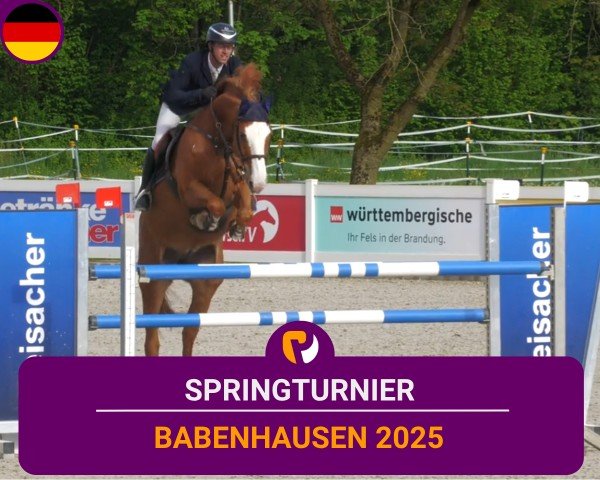 Reitturnier Babenhausen/Schw. 2025