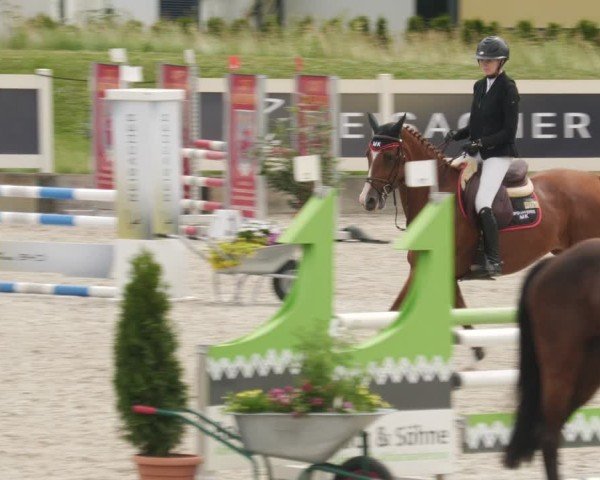 Reitturnier Babenhausen/Schw. 2025