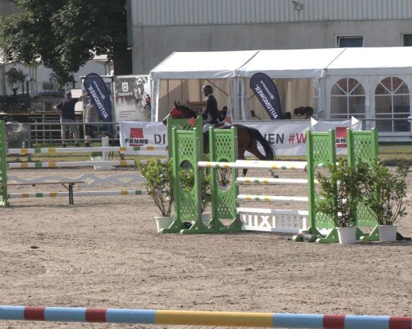 Reitturnier Langenfeld 2025