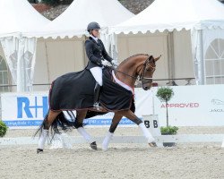 dressage horse Brianna 9 (Westphalian, 2011, from Bvlgari)