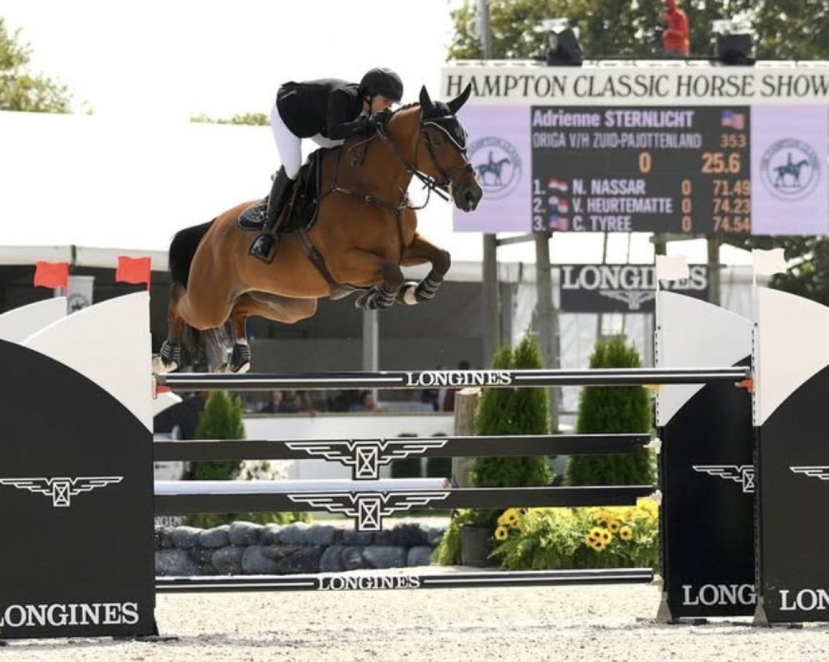 jumper Origa V/h Zuid-Pajottenland (Belgian Warmblood, 2014, from Thunder van de Zuuthoeve)