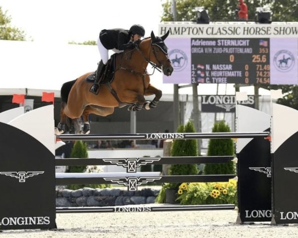 jumper Origa V/h Zuid-Pajottenland (Belgian Warmblood, 2014, from Thunder van de Zuuthoeve)