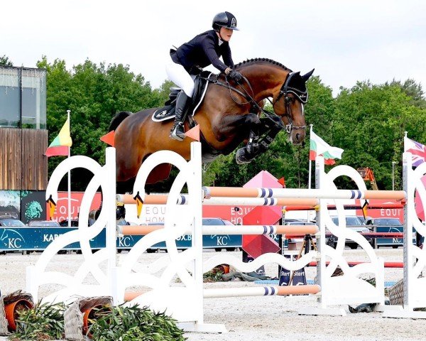 stallion Stakkido Pan (Hanoverian, 2017, from Stakkato Gold)
