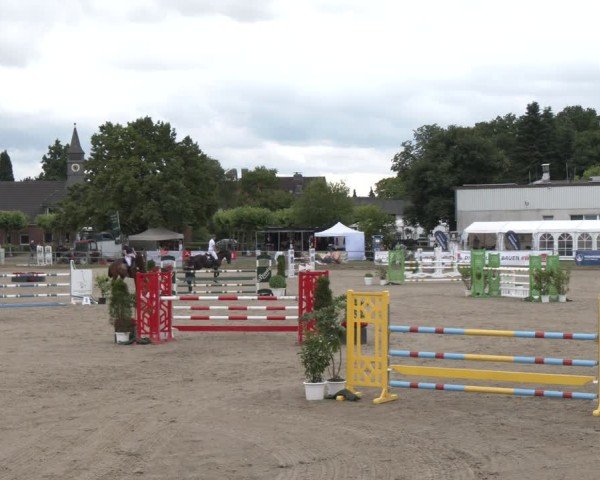 Reitturnier Langenfeld 2025