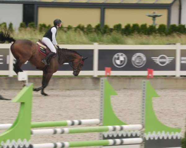 Reitturnier Babenhausen/Schw. 2025