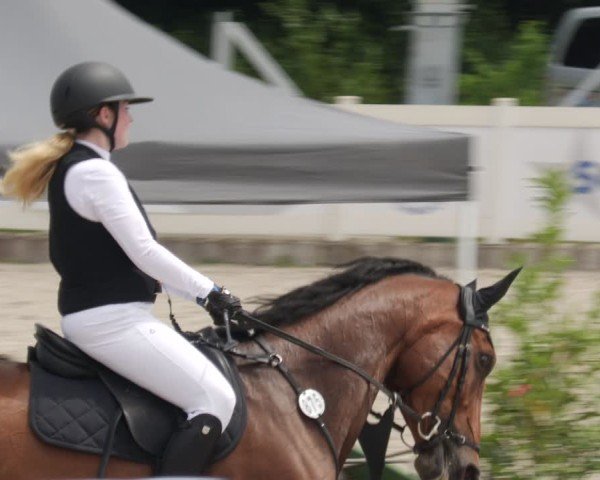 Reitturnier Babenhausen/Schw. 2025