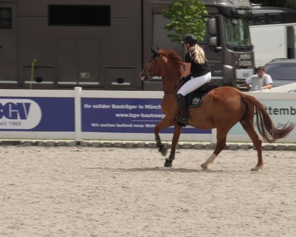 Reitturnier Babenhausen/Schw. 2025