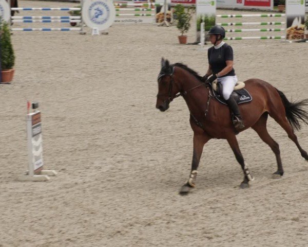 Reitturnier Babenhausen/Schw. 2025