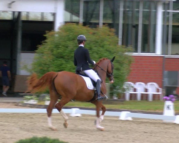 Reitturnier Langenfeld 2025